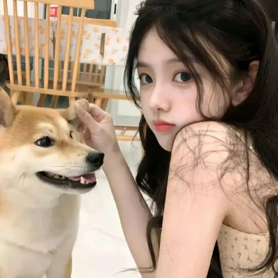 我的美丽王国海报